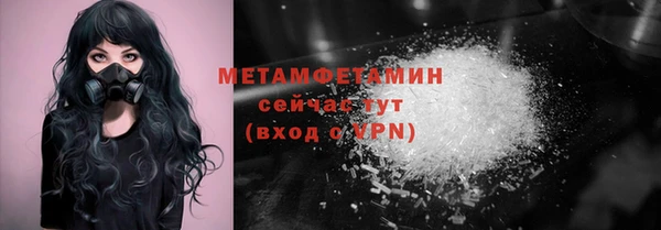 прущие грибы Пересвет