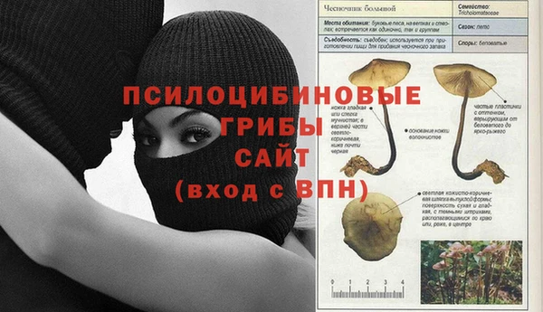 каннабис Баксан